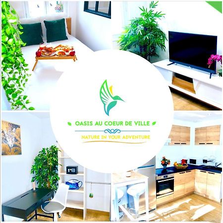 Oasis Au Coeur De Ville Sens Ngoại thất bức ảnh